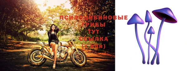 бутират Балахна