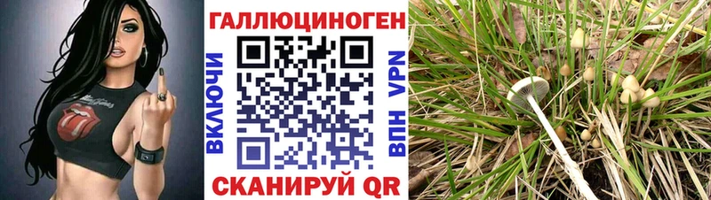 Галлюциногенные грибы MAGIC MUSHROOMS Карабулак